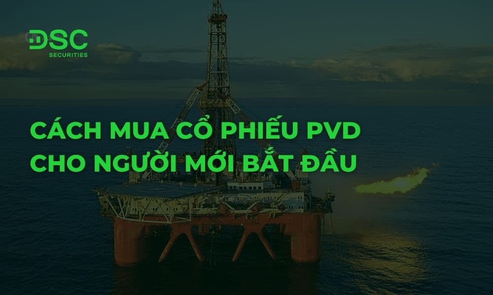 Hướng dẫn cách mua cổ phiếu PVD cho người mới bắt đầu