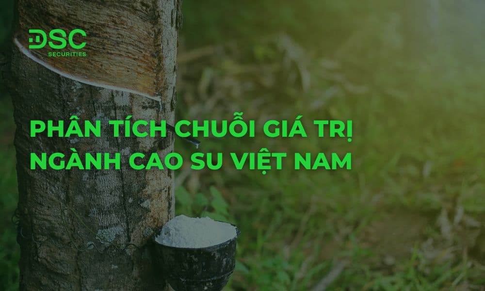 Phân tích chuỗi giá trị ngành Cao Su Việt Nam