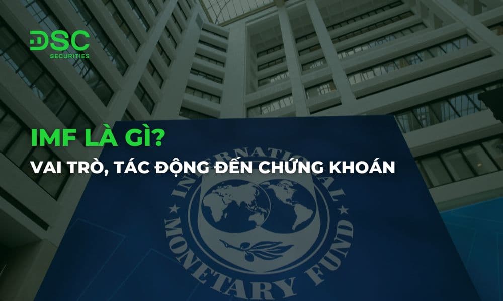 IMF là gì? Vai trò và tác động đến chứng khoán Việt Nam