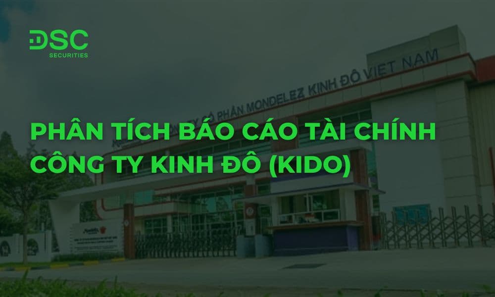 Phân tích báo cáo tài chính Công ty Kinh Đô (Kido)