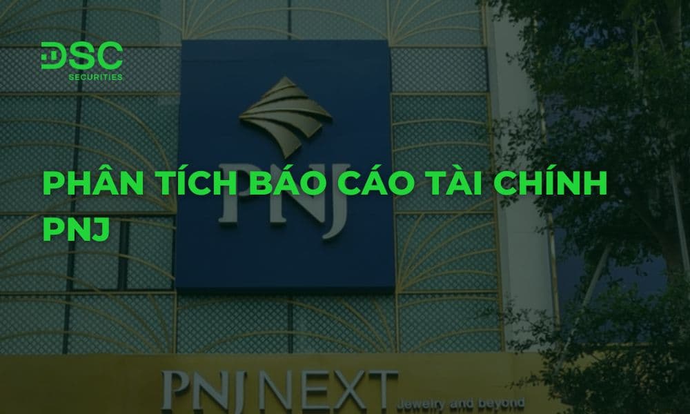 Phân tích báo cáo tài chính PNJ chi tiết