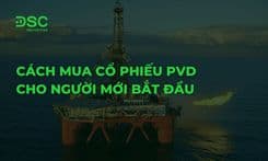 Hướng dẫn cách mua cổ phiếu PVD cho người mới bắt đầu