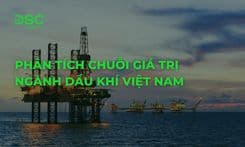 Phân tích chuỗi giá trị ngành Dầu Khí Việt Nam