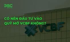Có nên đầu tư vào quỹ mở VCBF? Hiệu suất và Biểu phí