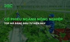 Cổ phiếu ngành Nông Nghiệp: Tổng quan và top mã đầu tư 2026