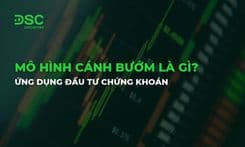 Mô hình Cánh bướm (Butterfly Pattern) là gì? Ứng dụng đầu tư