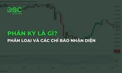 Phân kỳ là gì? Phân loại và các chỉ báo nhận diện phân kỳ