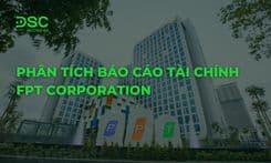 Phân tích báo cáo tài chính FPT Corporation chi tiết