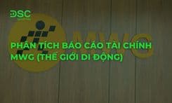 Phân tích báo cáo tài chính MWG (Thế Giới Di Động)