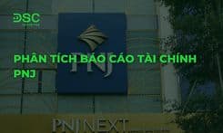 Phân tích báo cáo tài chính PNJ chi tiết