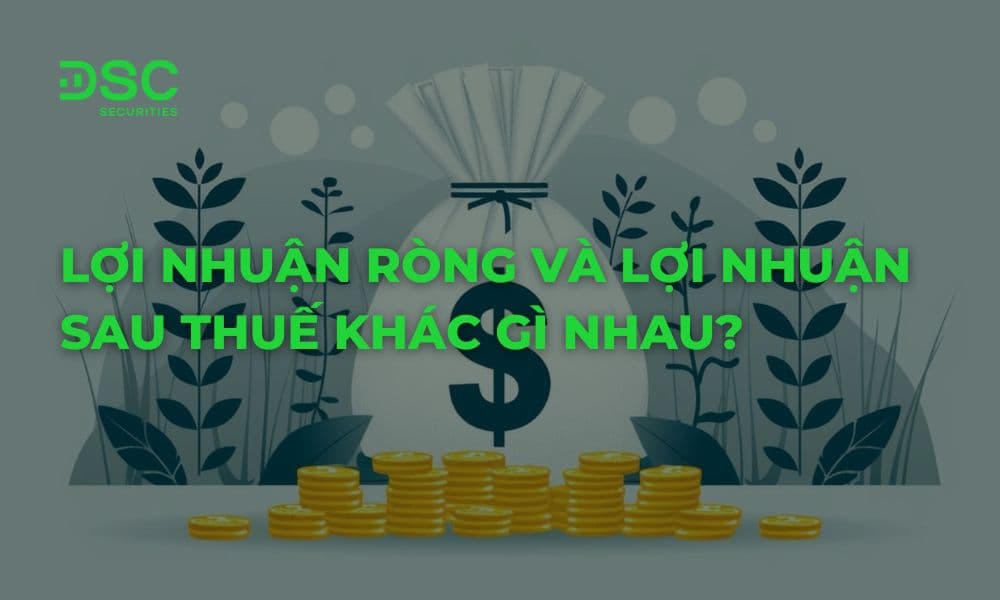 Lợi nhuận ròng và lợi nhuận sau thuế khác gì nhau?